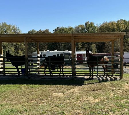 Stables 2