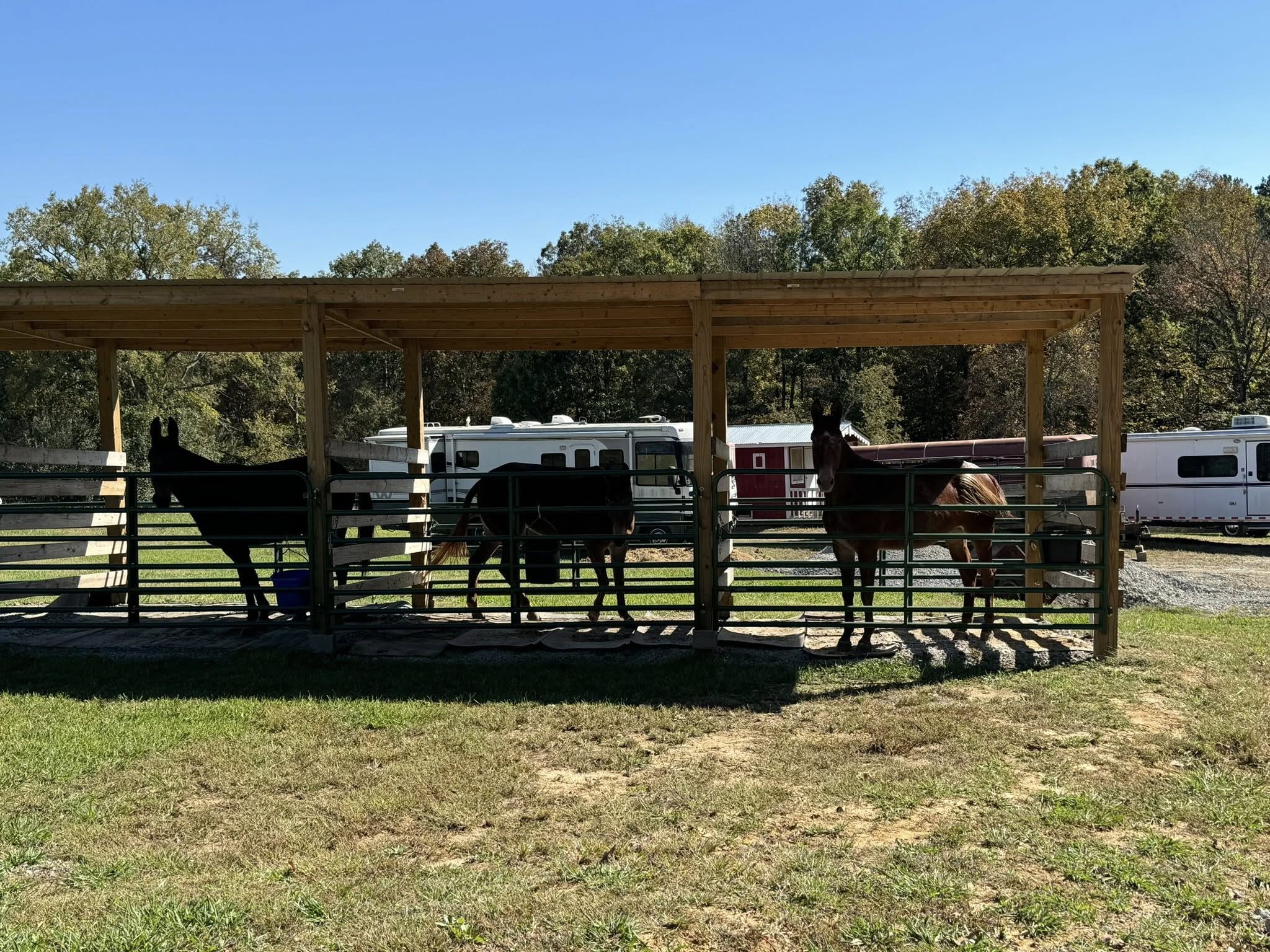 Stables 2